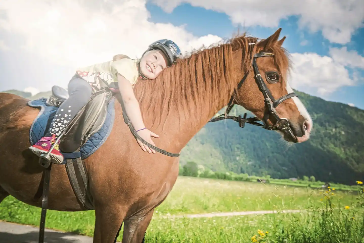 Familotel Landgut Furtherwirt Tiere