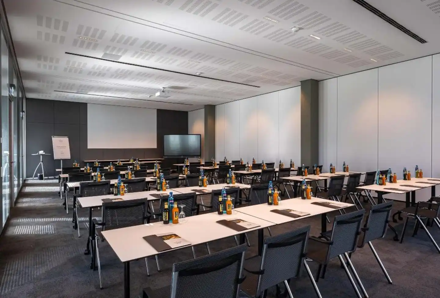 Stadt Freiburg Konferenz