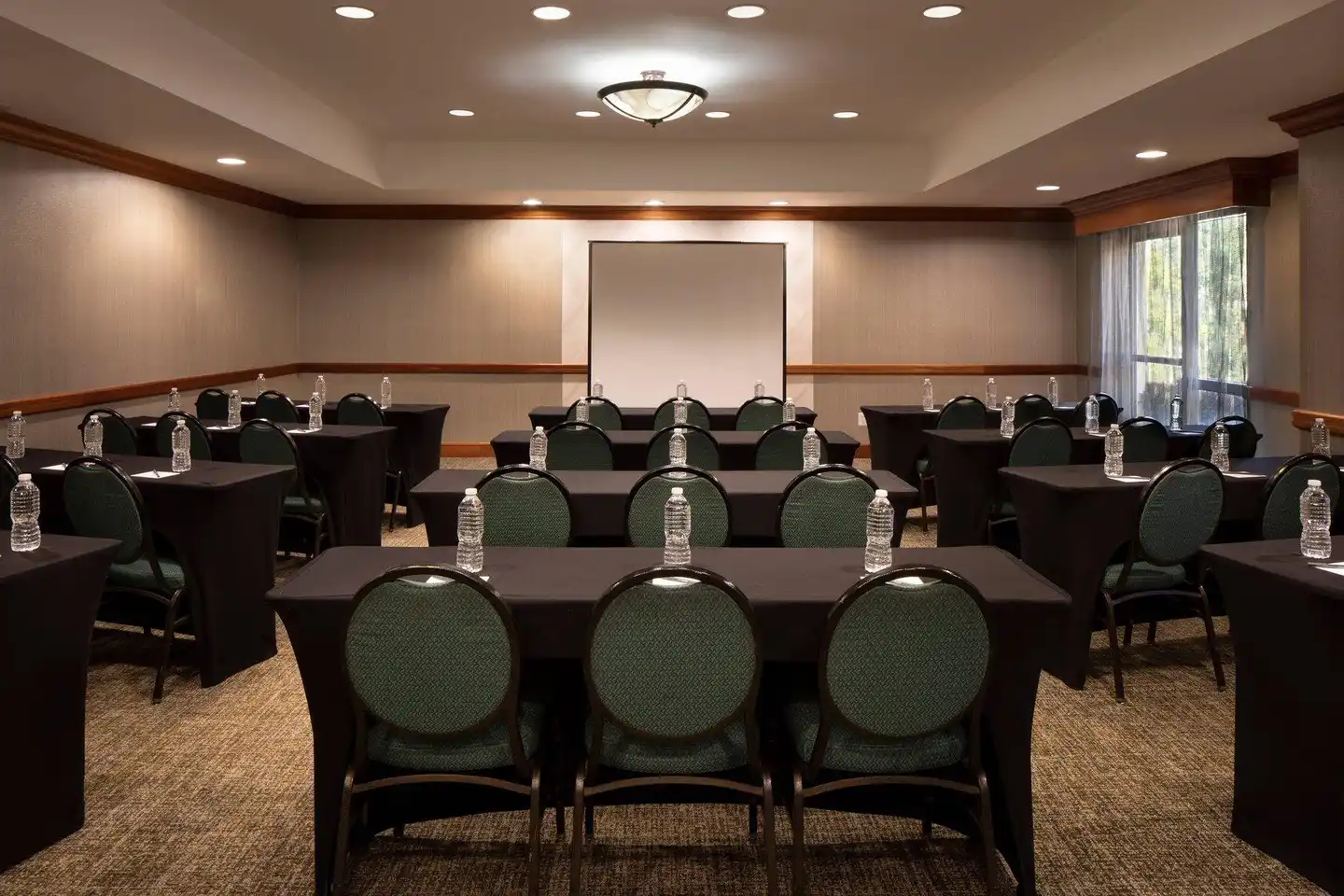 SpringHill Suites by Marriott Tampa Westshore Konferenz
