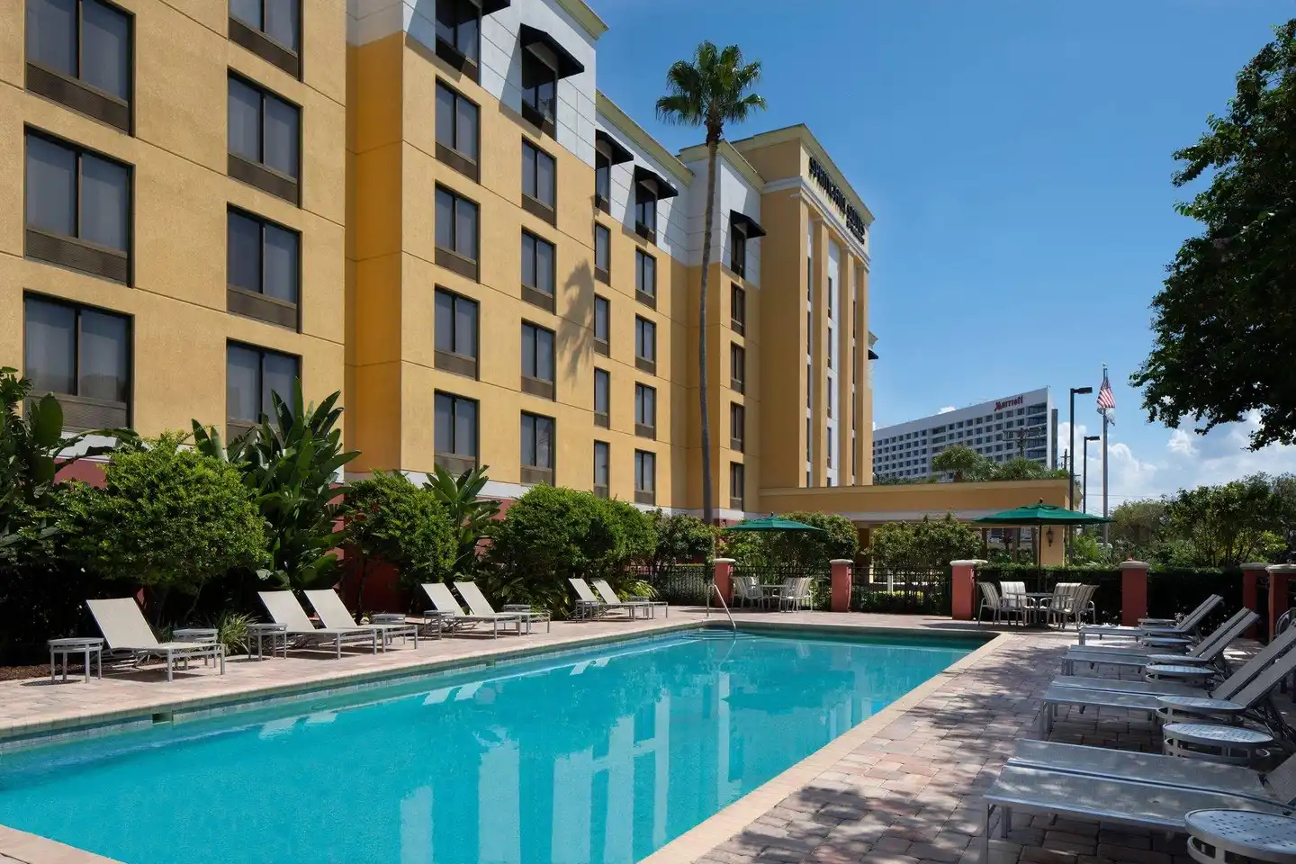 SpringHill Suites by Marriott Tampa Westshore Pool