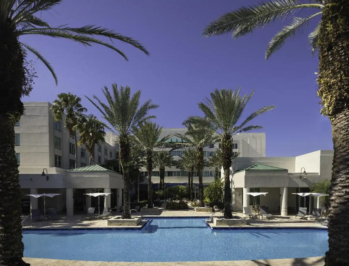 InterContinental at Doral Miami Pool