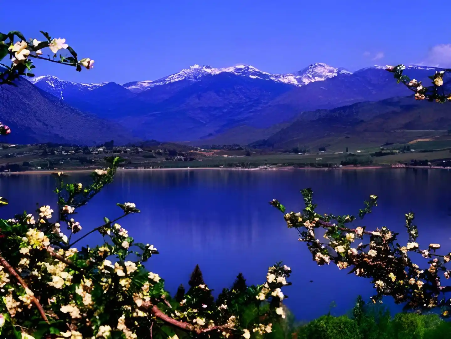 Lakeside Lodge and Suites Landschaft