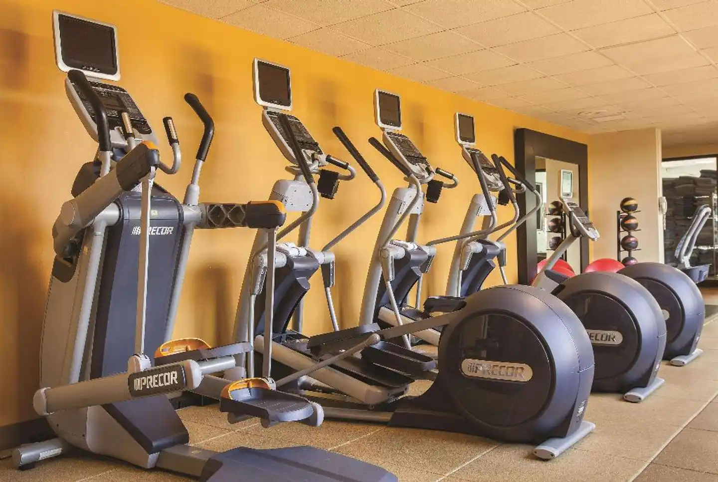 DoubleTree by Hilton Chicago - Oak Brook Sport und Entertainment