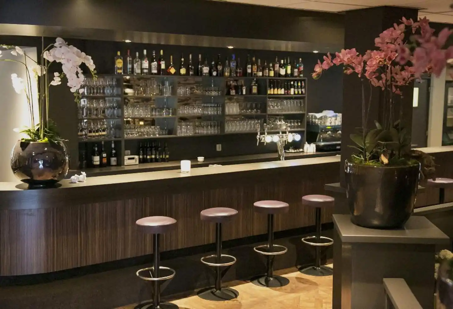 Fletcher Hotel - Restaurant De Eese - Giethoorn Bar