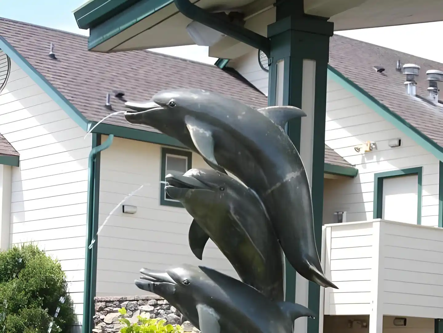 Emerald Dolphin Inn & Mini Golf Tiere