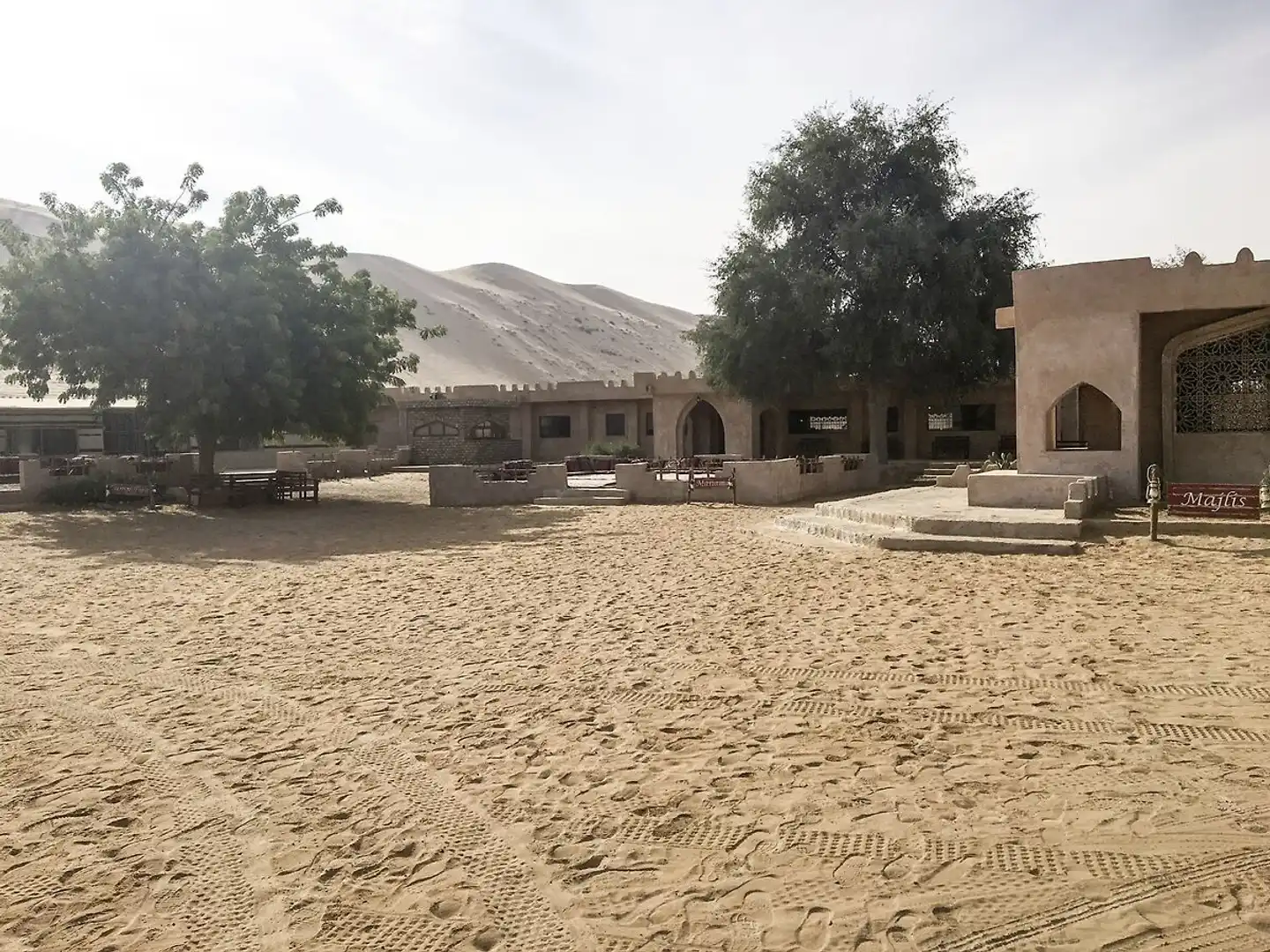 Arabian Oryx Camp Strand
