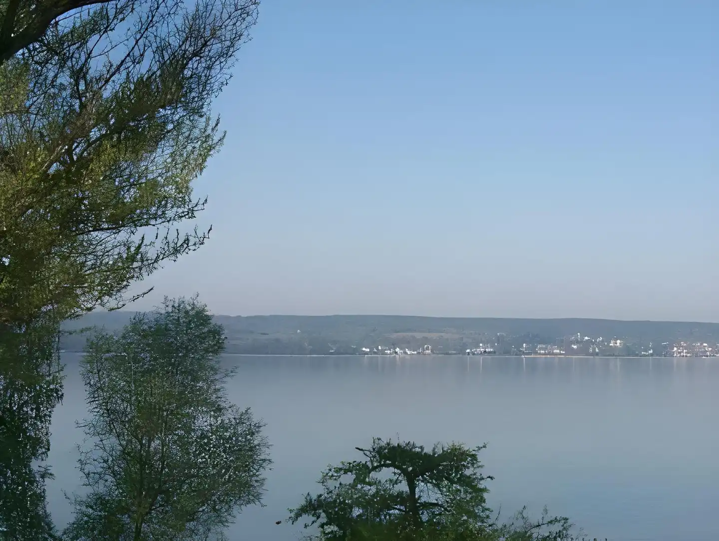 Seepark Landschaft