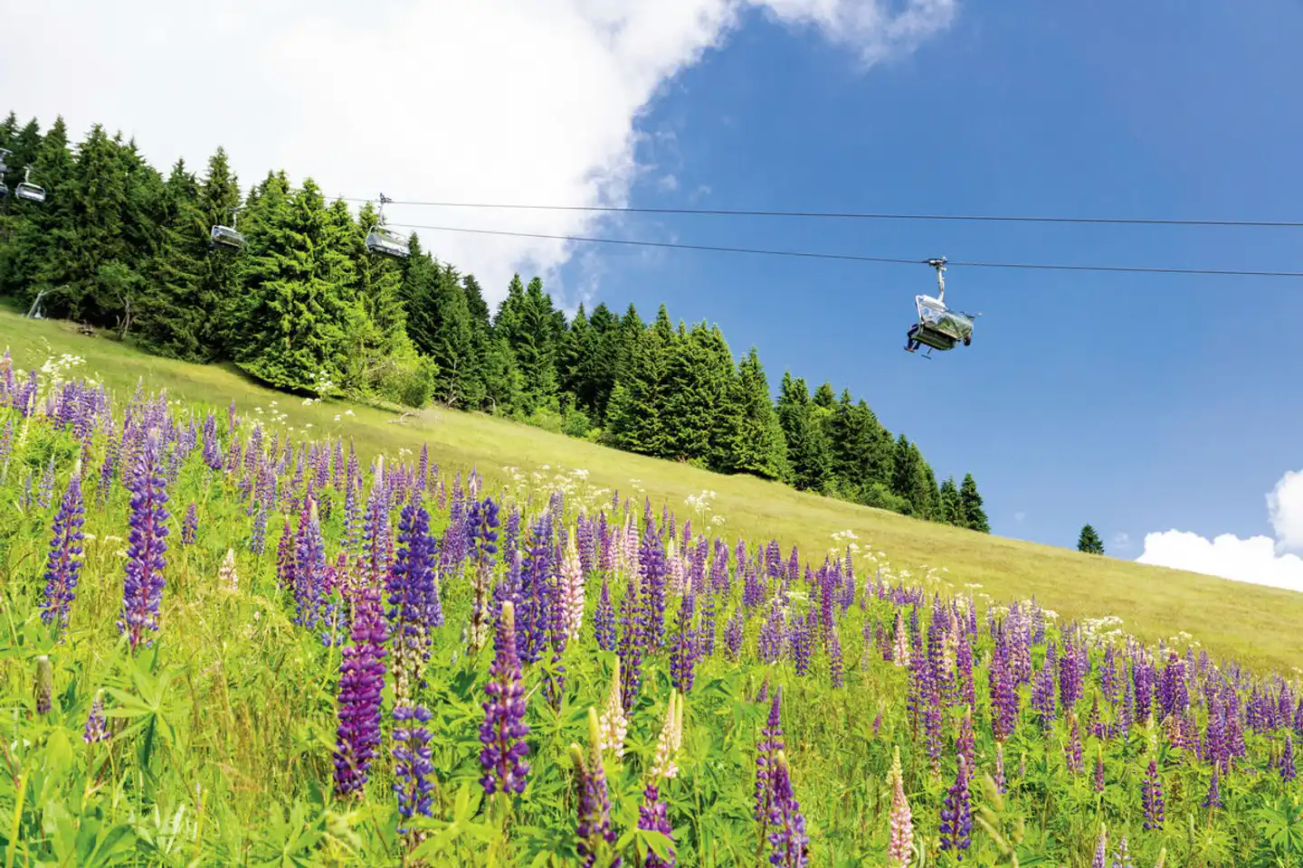Hotel Keilberg Landschaft