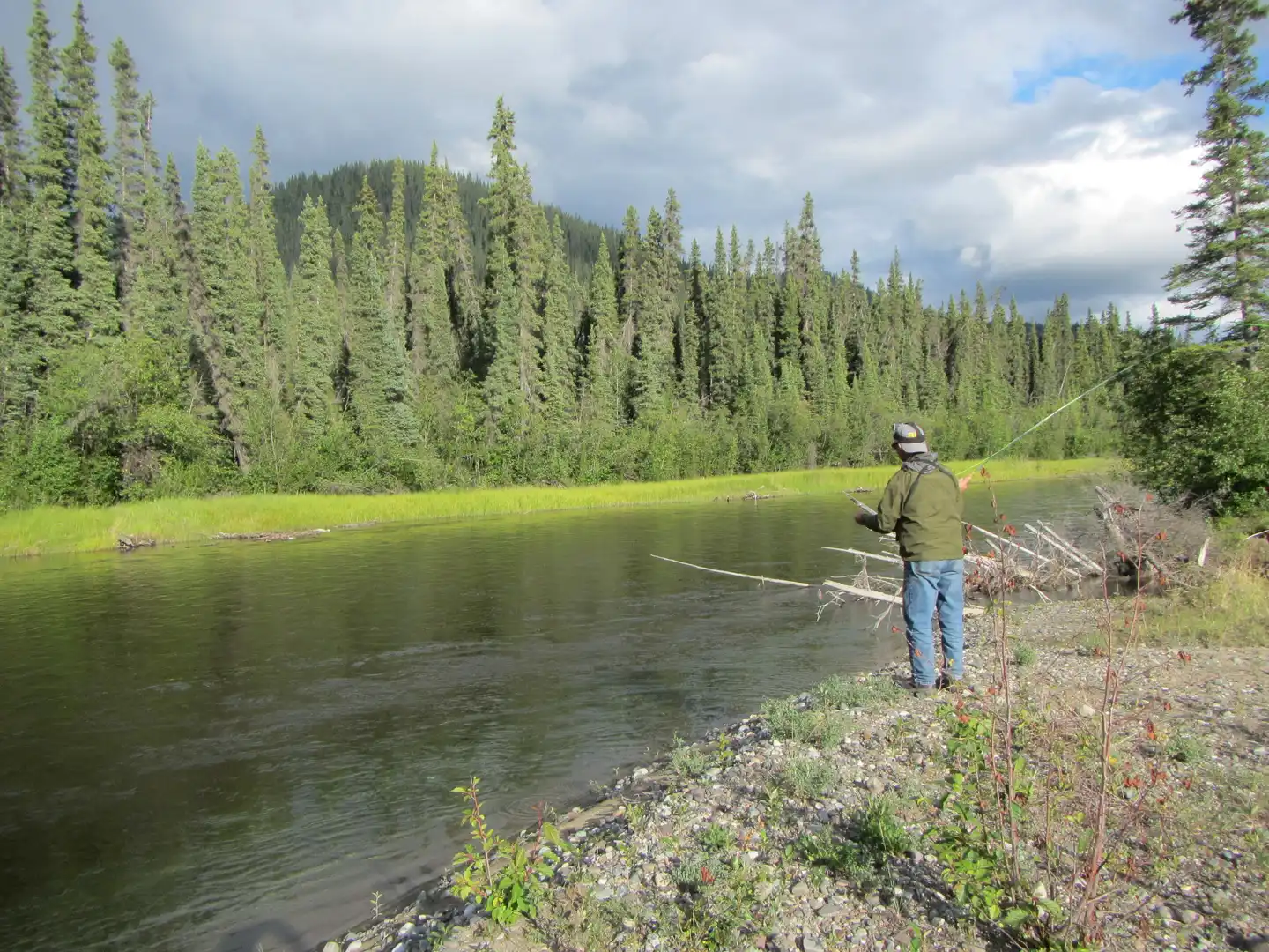 Discovery Yukon Lodgings Landschaft
