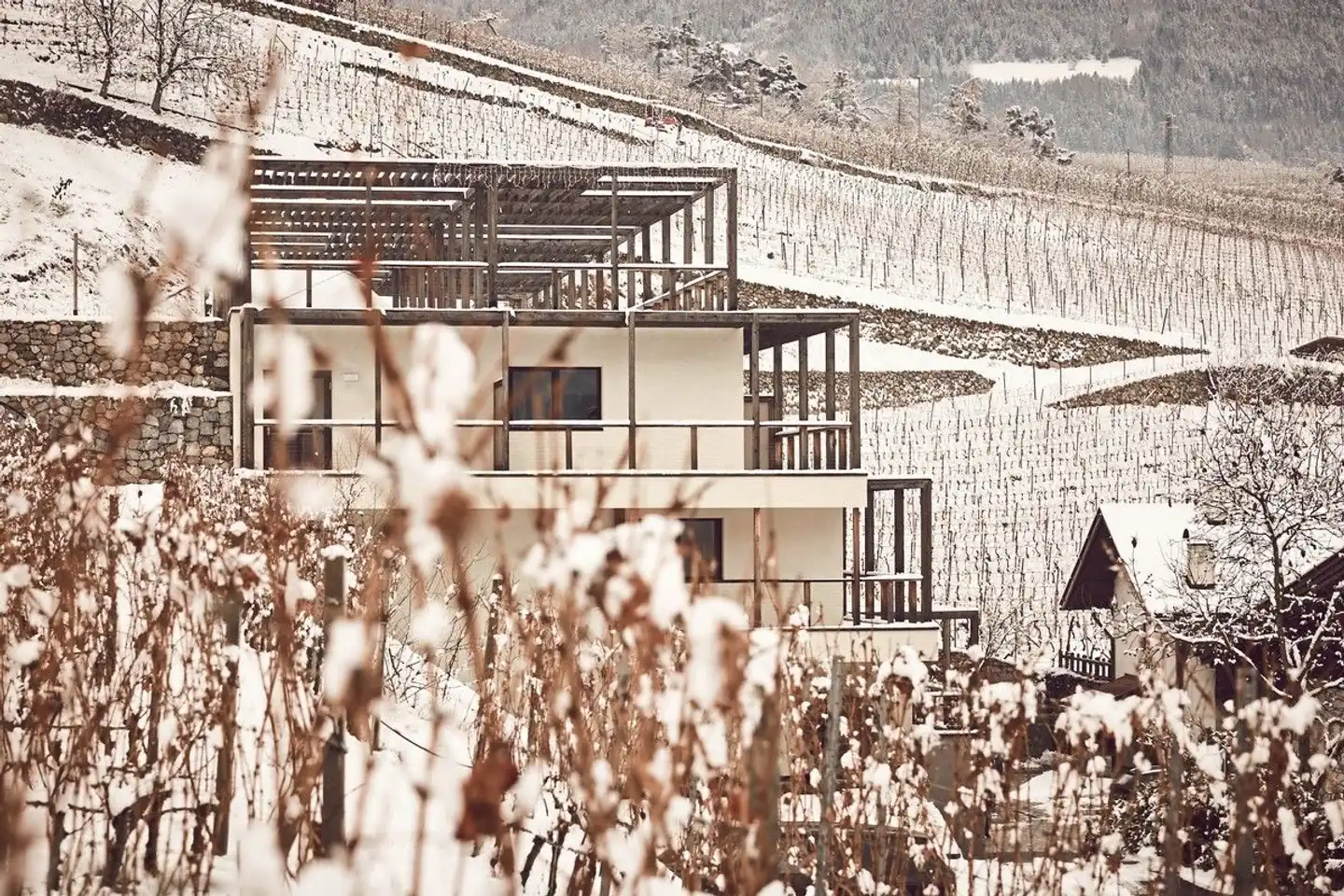 Haller Suites & AO Restaurant Tiere