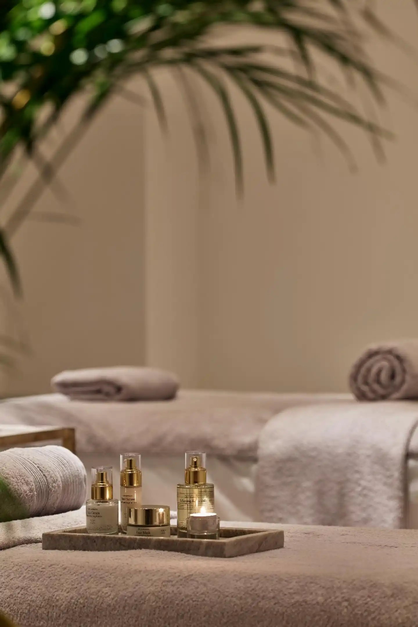 Celestial All Suites Wellness