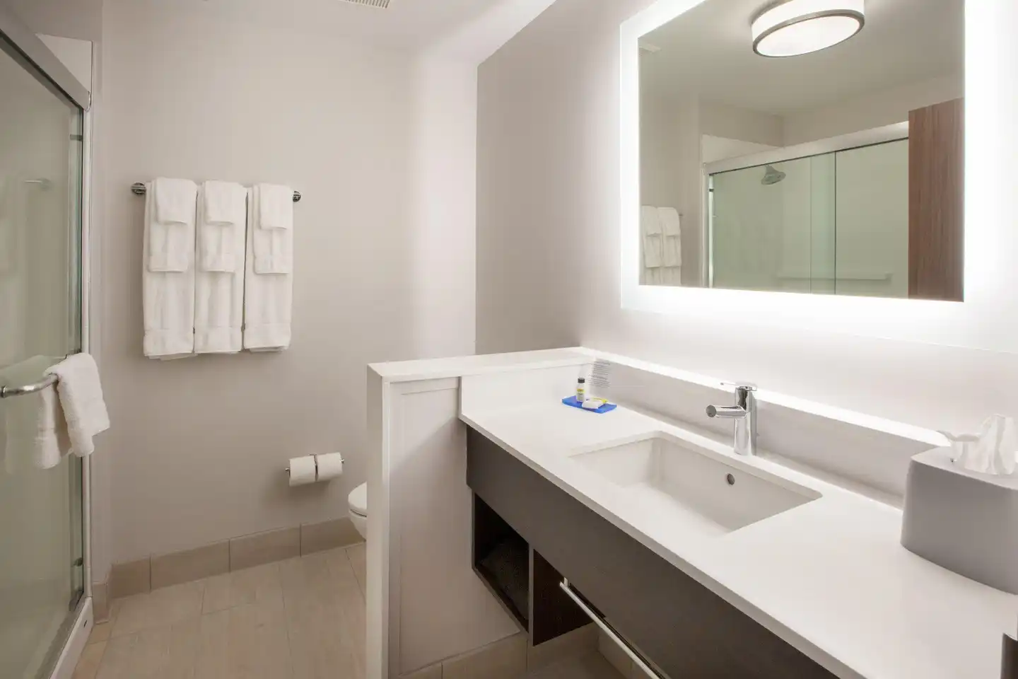 Holiday Inn Express & Suites Doral - Miami Badezimmer