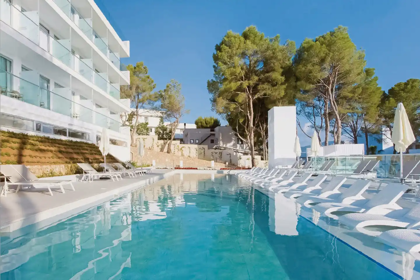 Reverence Life Pool