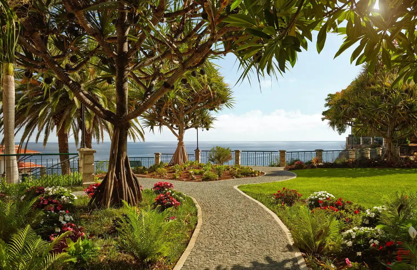 The Cliff Bay GARDEN