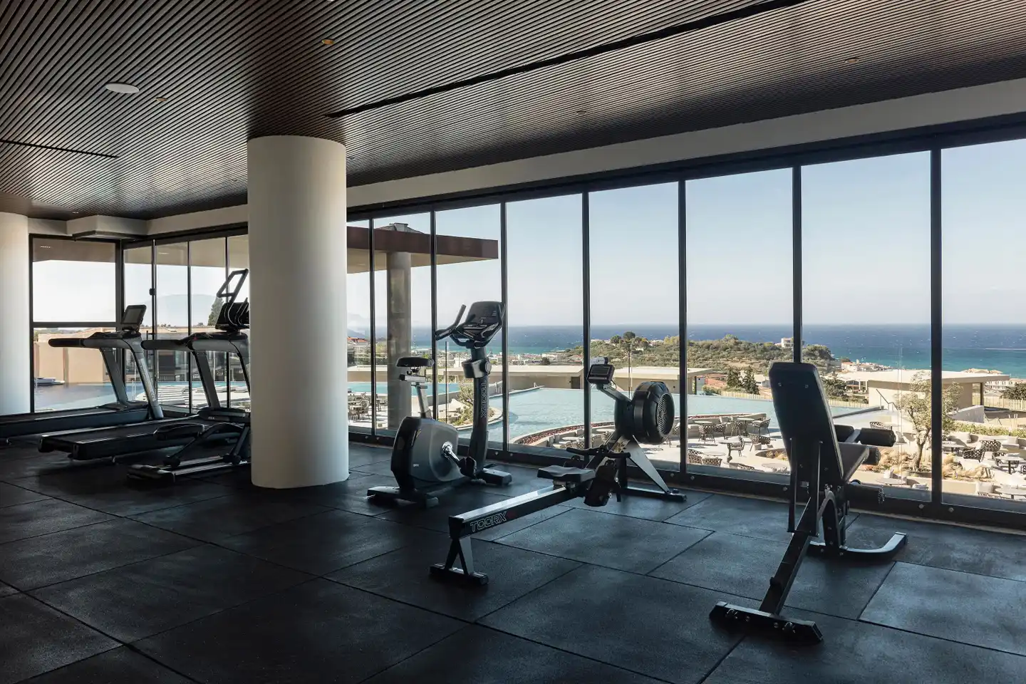 King Jason Zante Sport und Entertainment
