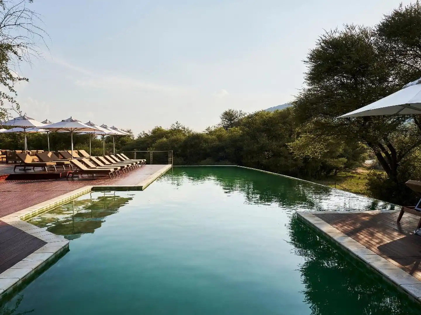 Letamo at Qwabi Private Game Reserve Pool