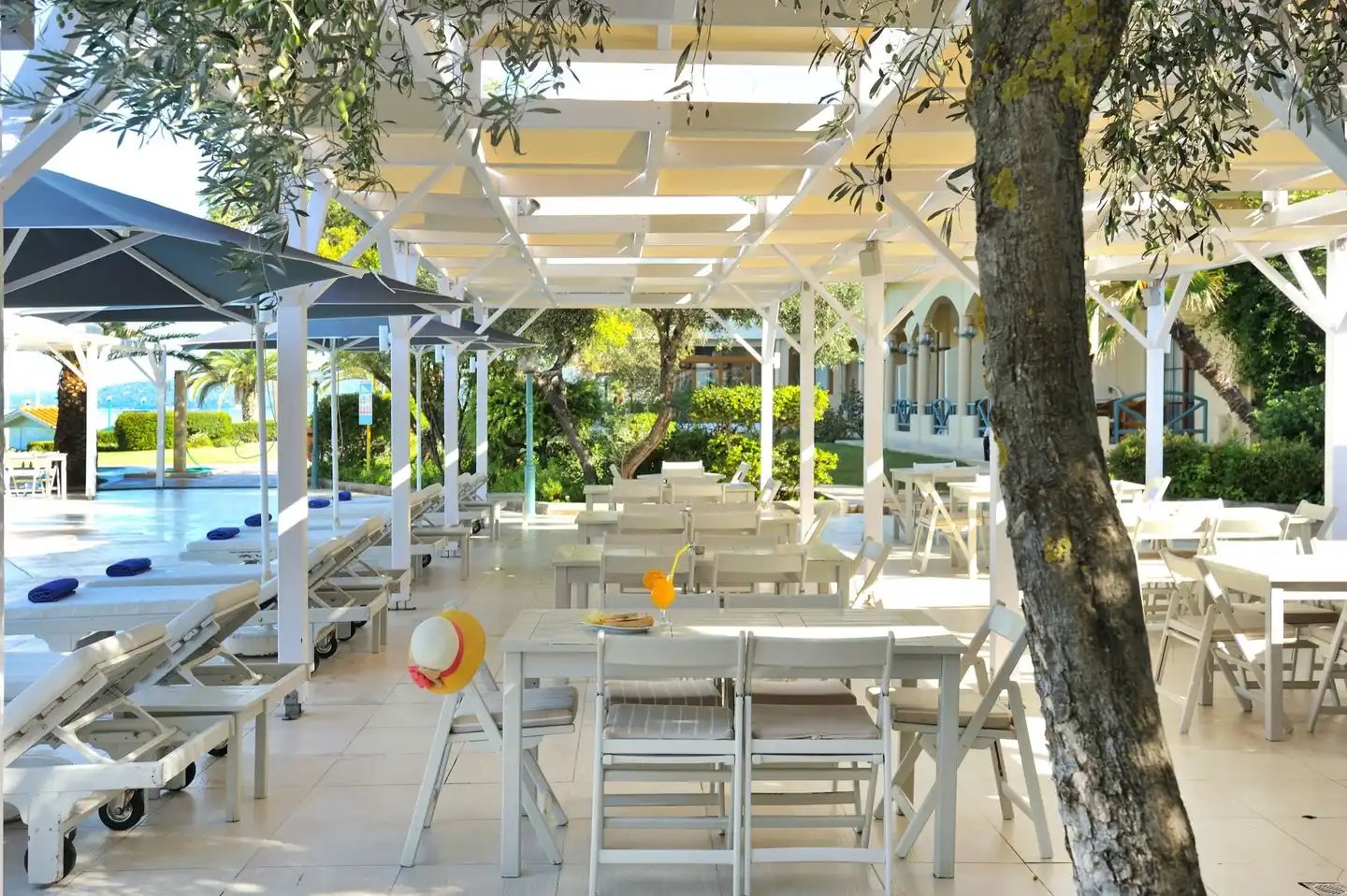 Possidi Holidays Resort & Suite Hotel Bar