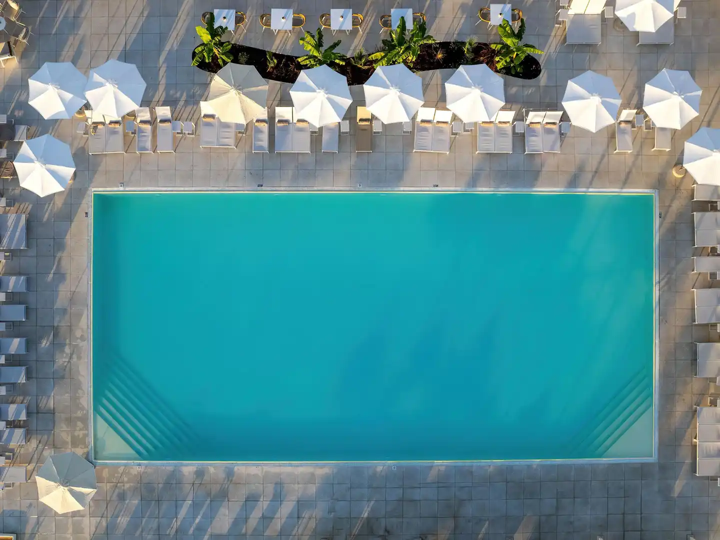 Domes Aulus Zante, Autograph Collection Pool