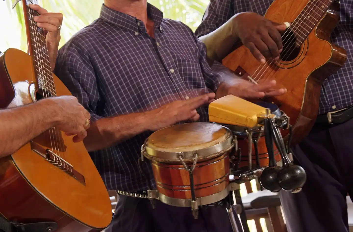 Meliá Cohiba PERSON
