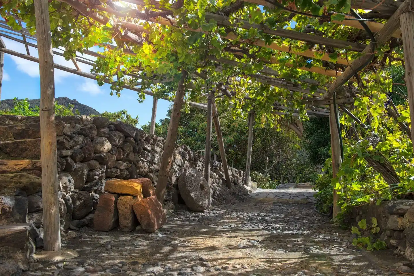 Casas del Lomo GARDEN