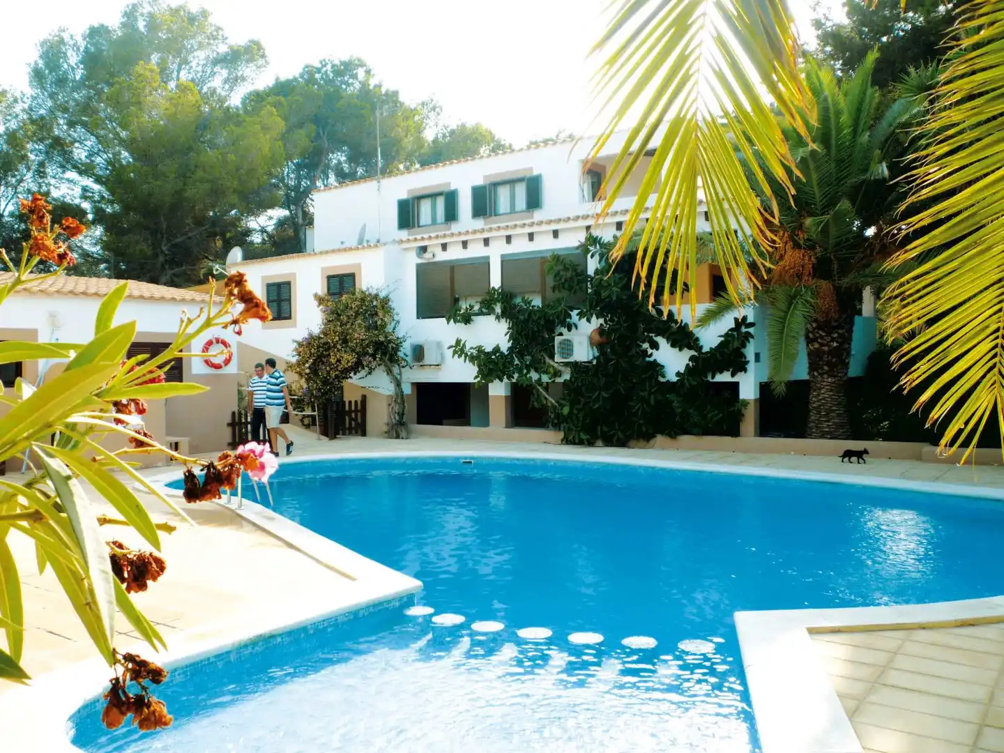 Allida Pool