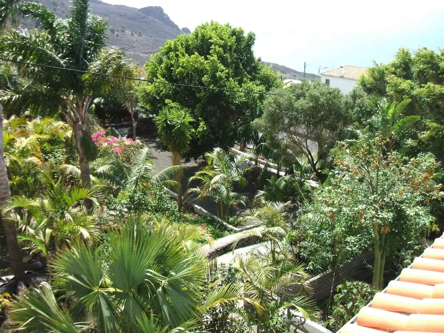 Apartamentos & Bungalows Finca Colon Landschaft