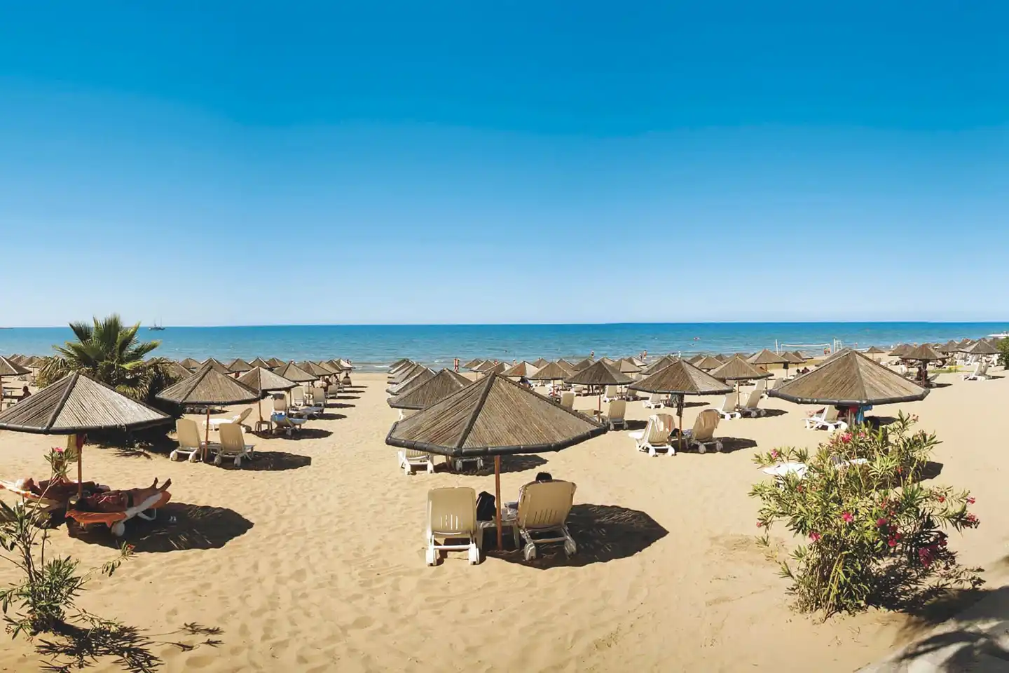 Defne Ana Strand
