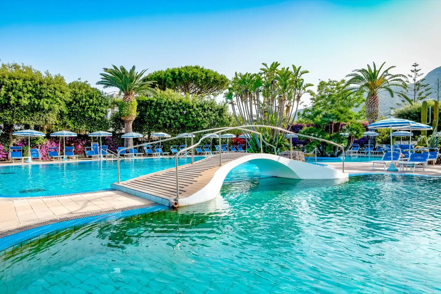 Park Hotel Terme Mediterraneo POOL