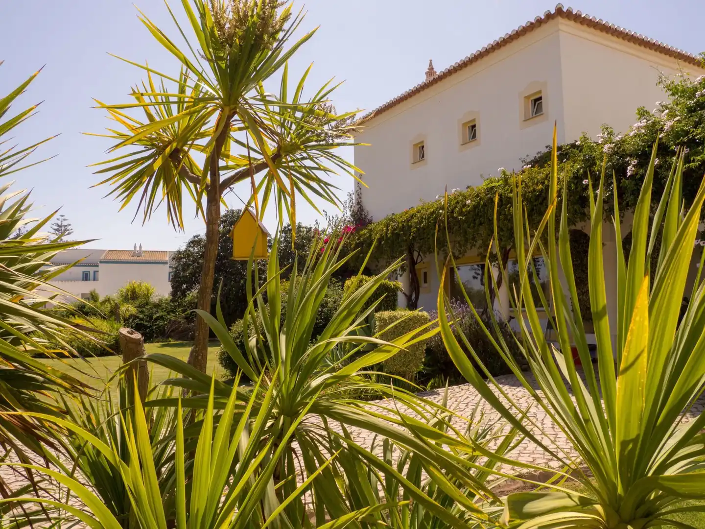 Luz Bay Hotel Garten