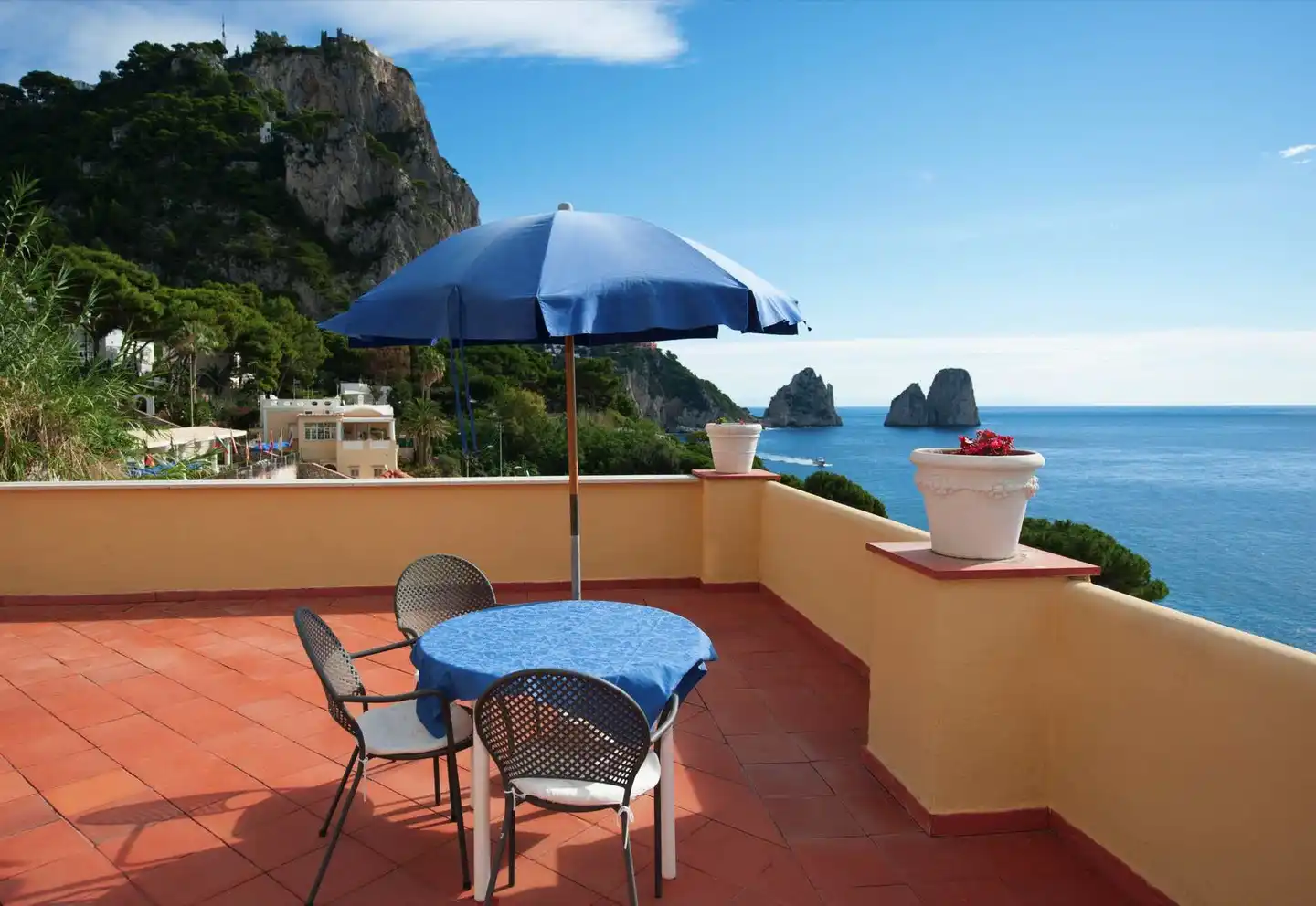 Weber Ambassador Terrasse
