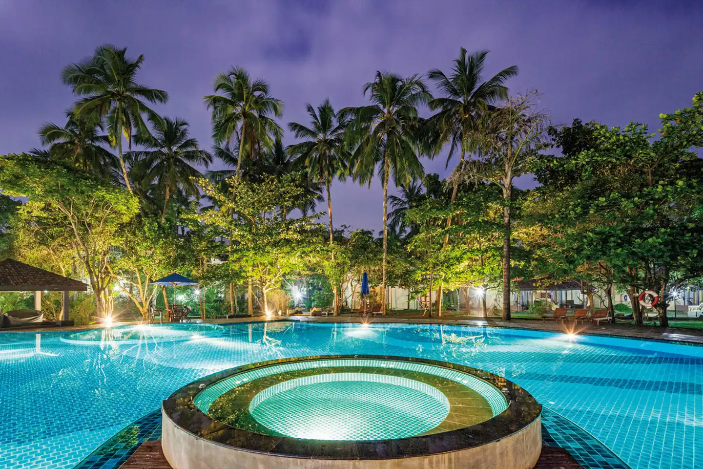 Siddhalepa Ayurveda Resort Pool