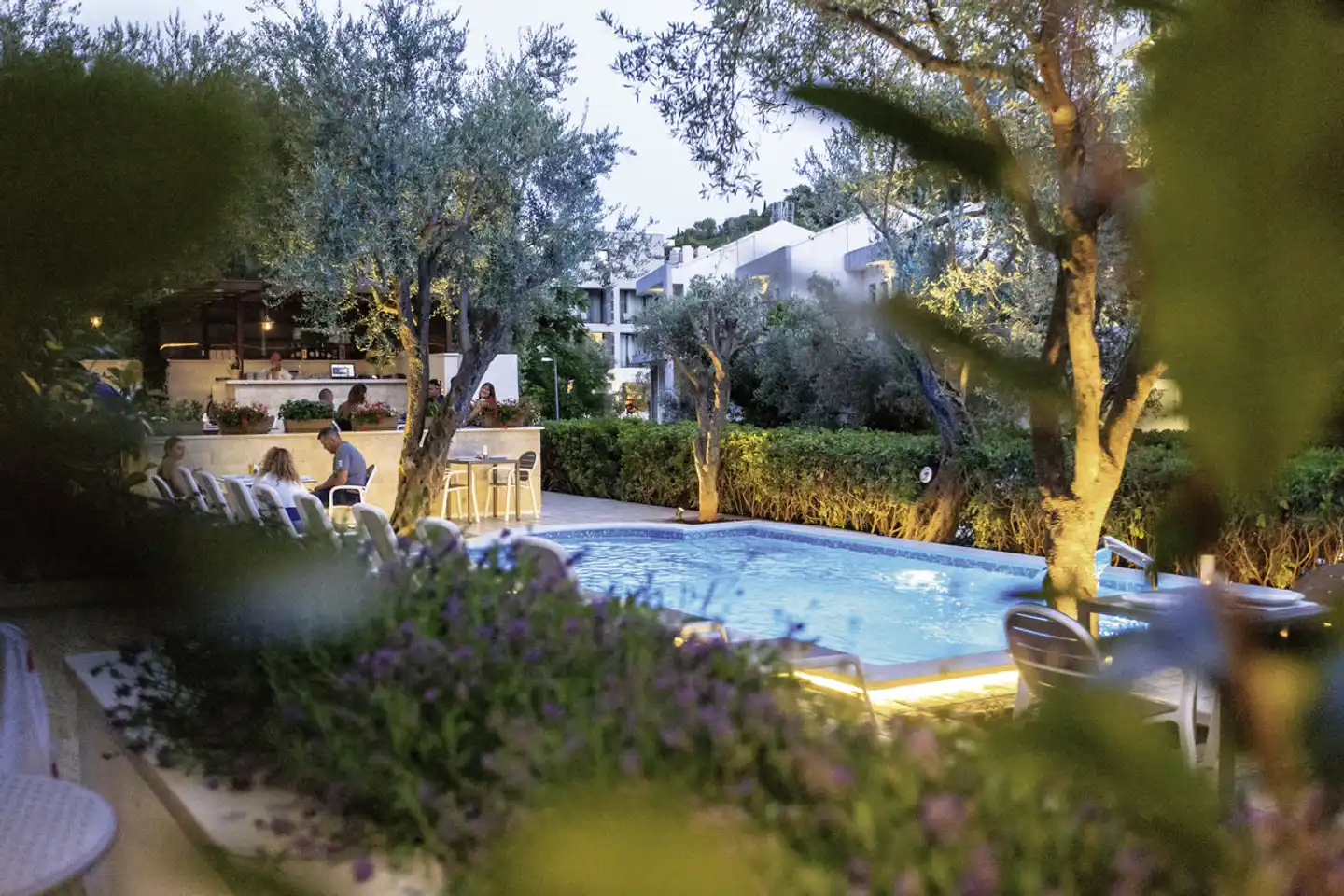 Harmony Pool