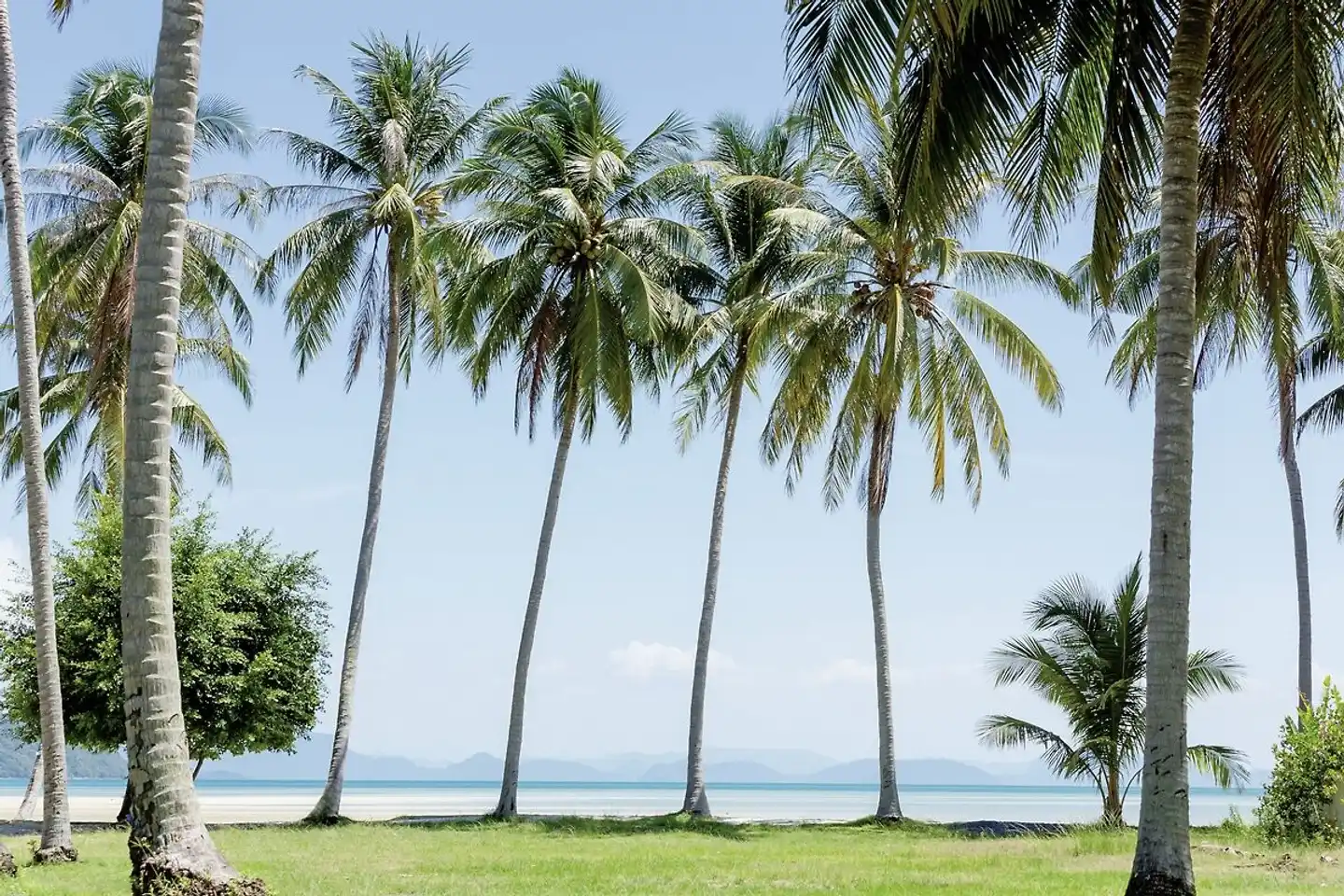 AVANI + Samui Landschaft