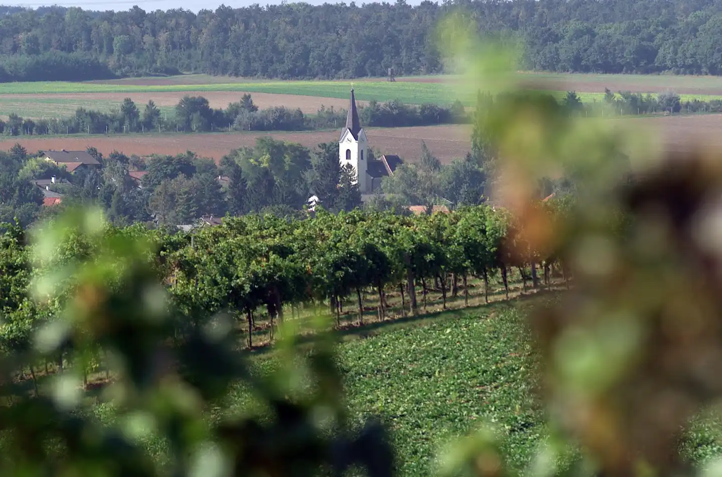 Altes Kloster Landschaft