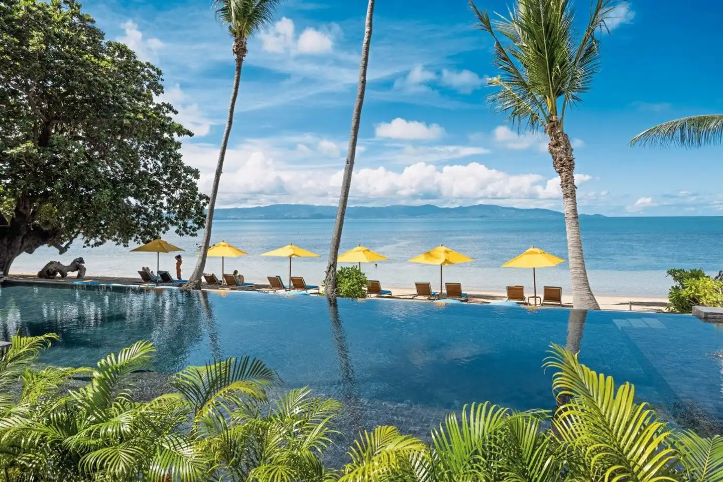 Explorar Koh Phangan Pool