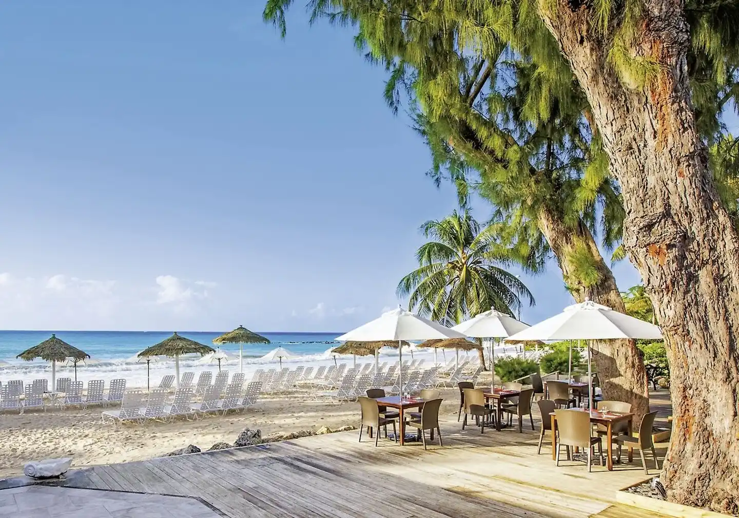 Bougainvillea Barbados Strand