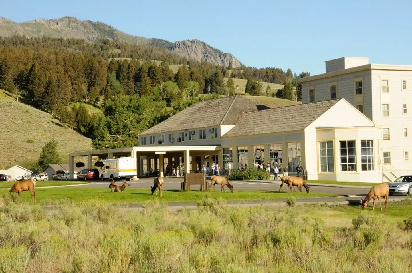 Mammoth Hot Springs Hotel & Cabins Aussenansicht