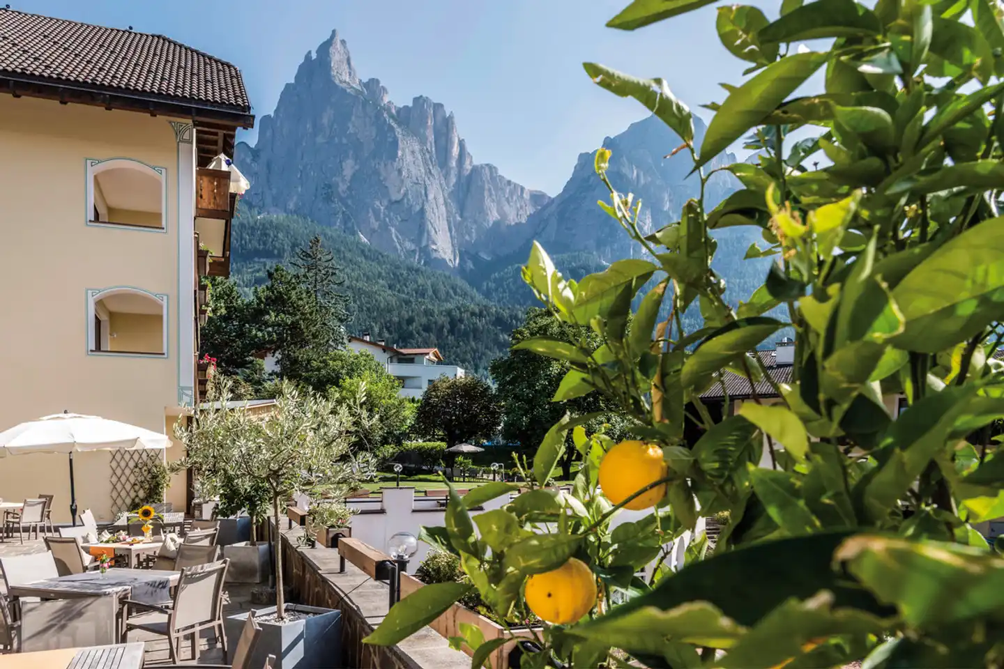 Activehotel Diana Landschaft