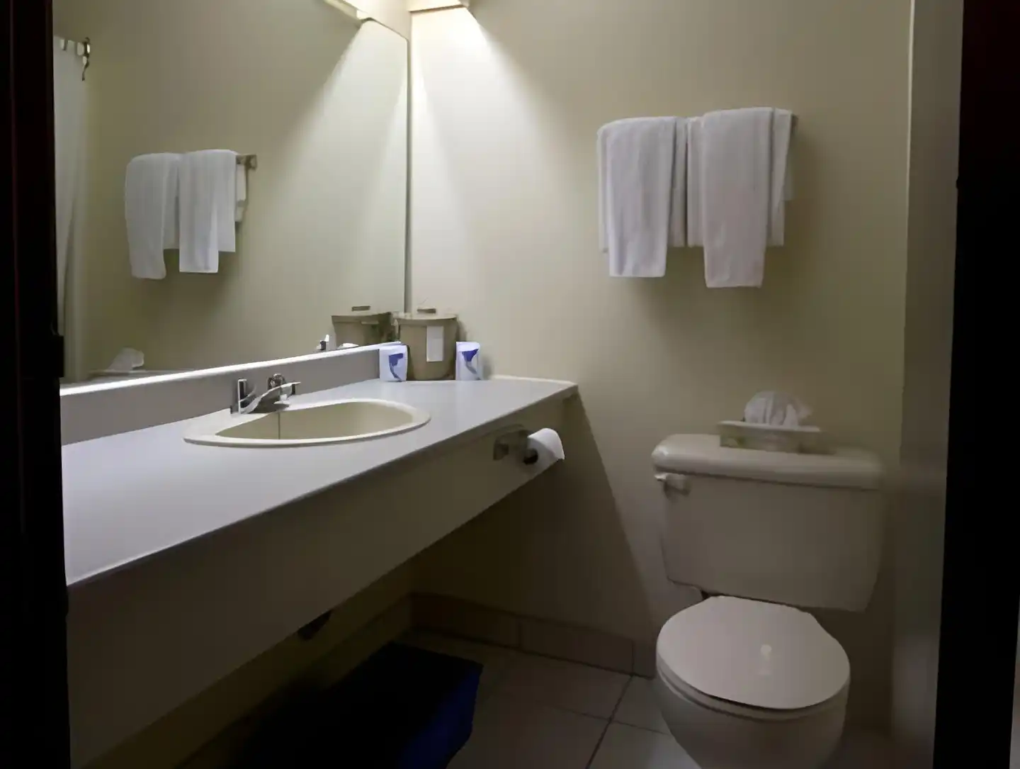 Coastal Inn Moncton/ Dieppe Badezimmer