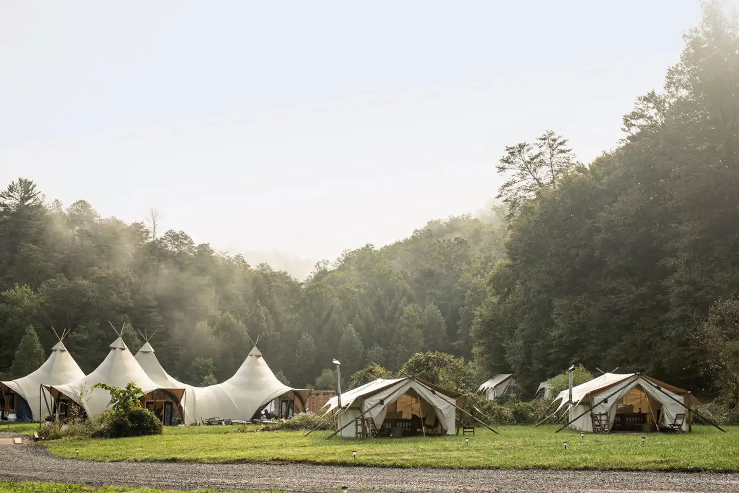 Under Canvas Great Smoky Mountains Tiere