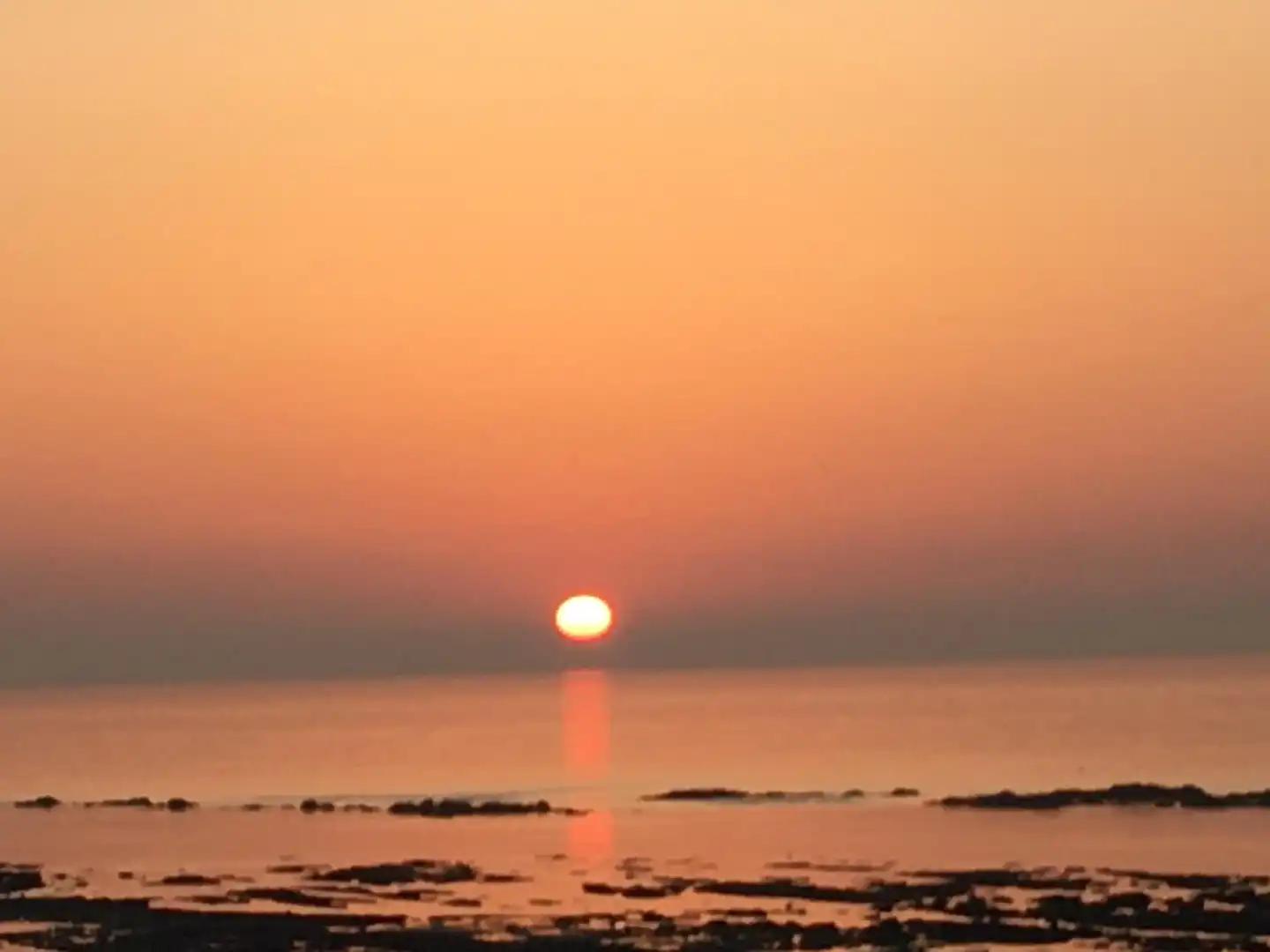 The Halcyon Strand
