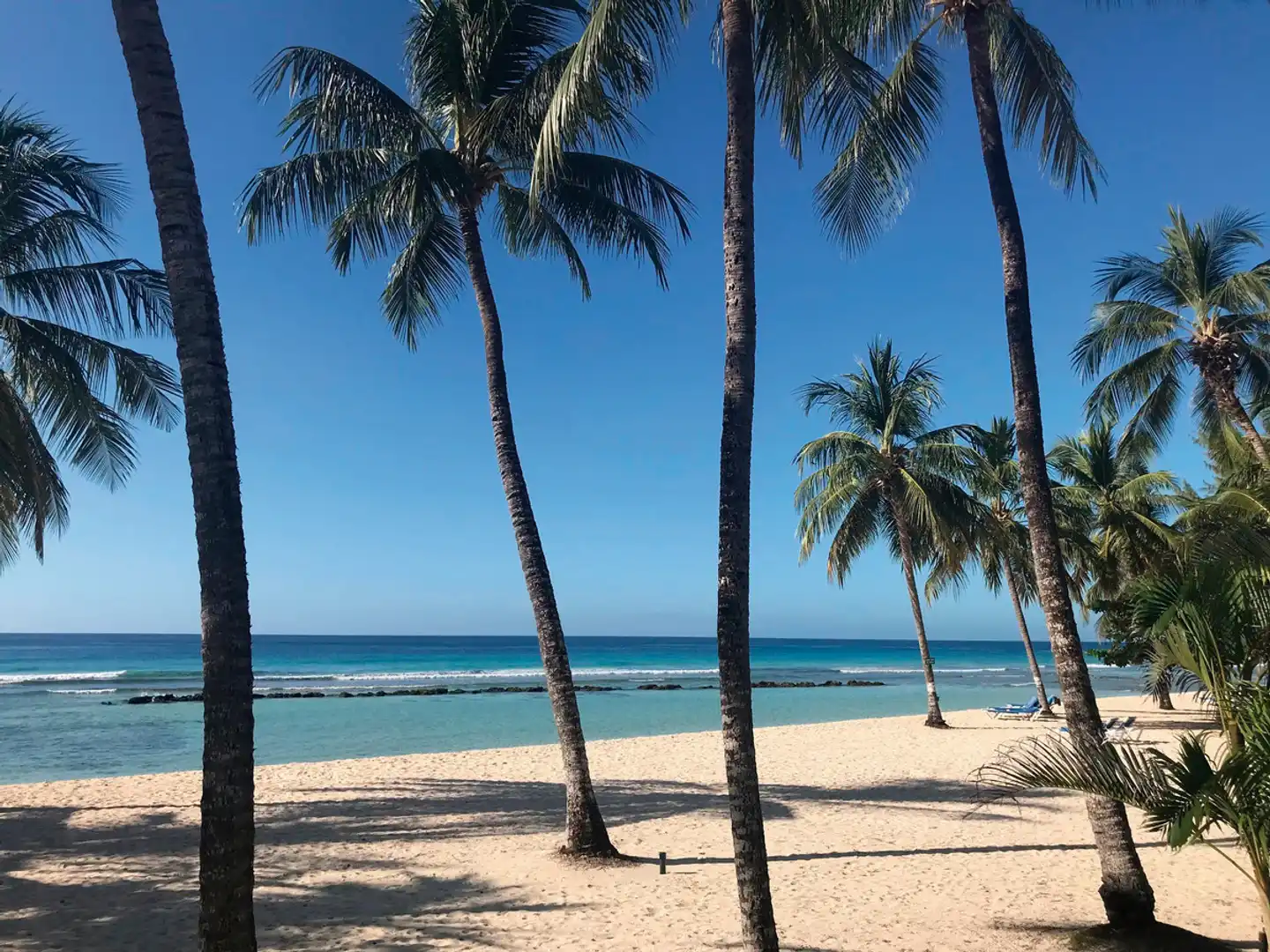 Coconut Court Beach Strand