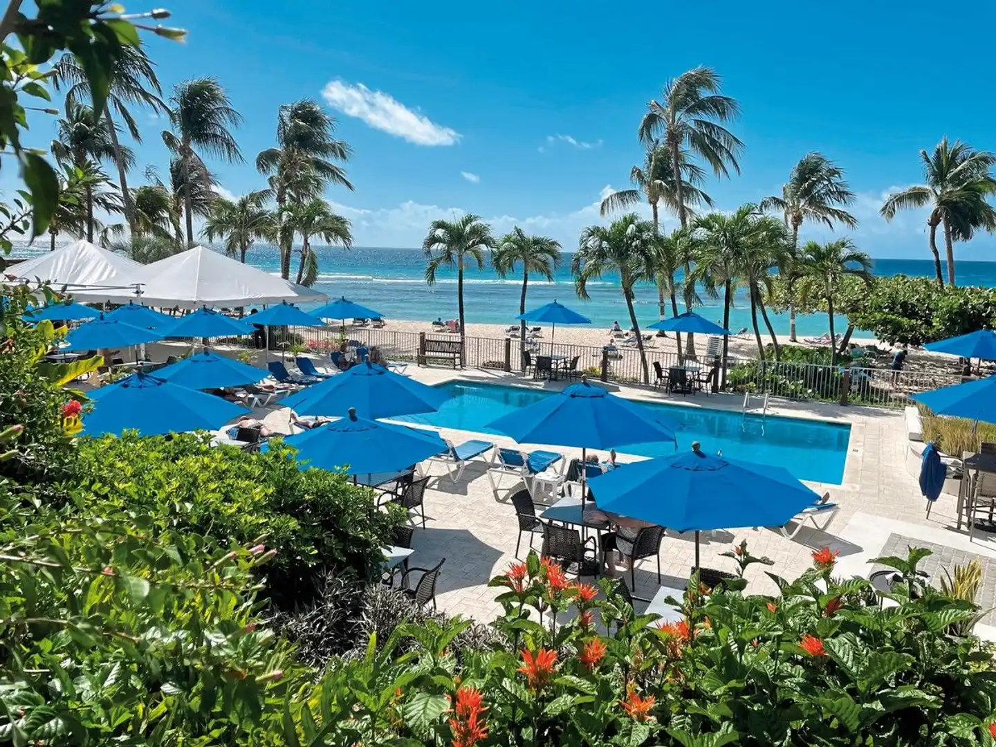 Coconut Court Beach Pool