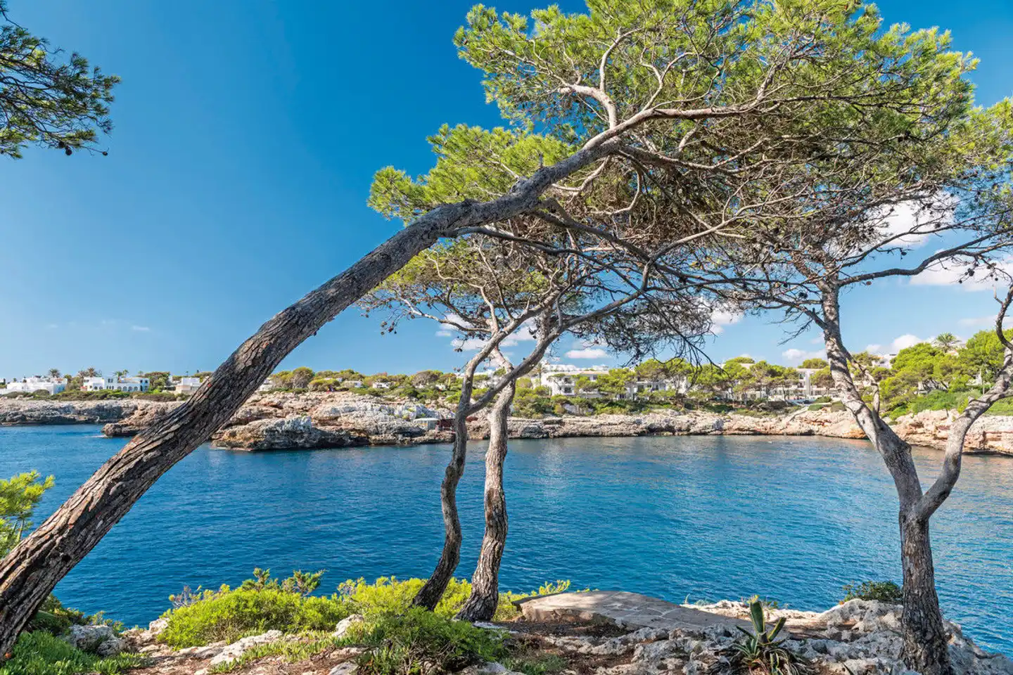 Inturotel Cala Azul Landschaft
