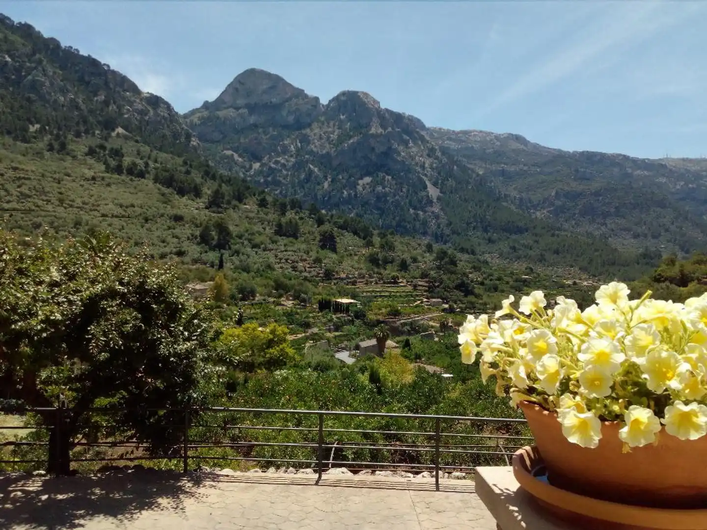 Hotel Apartment Sa Tanqueta de Fornalutx Landschaft