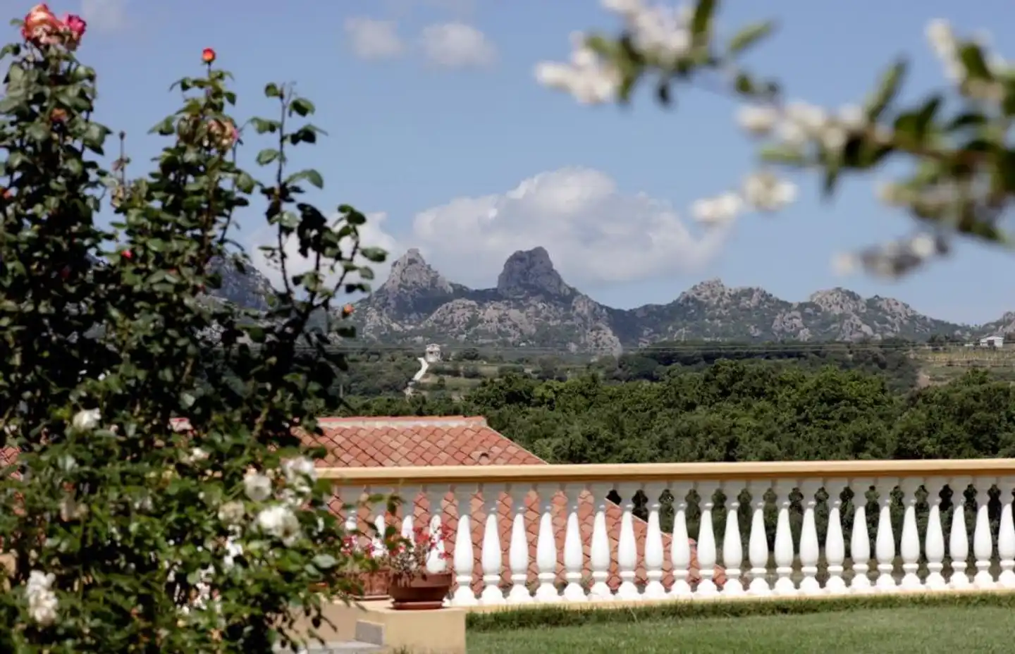 Pausania Inn Garten