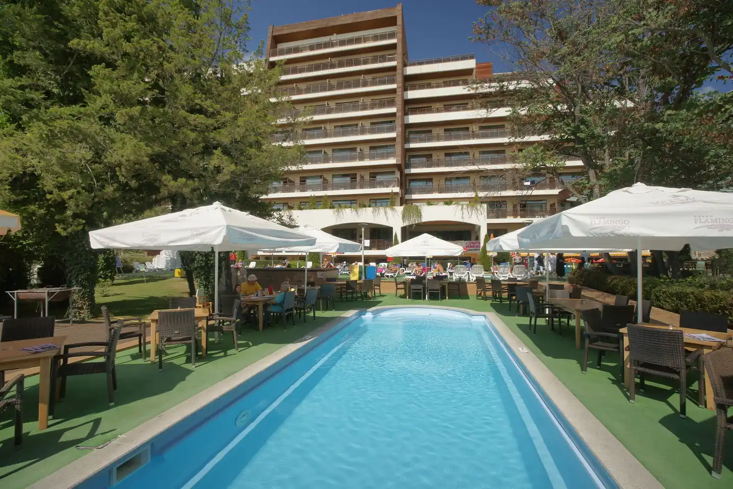 Hotel Flamingo Pool