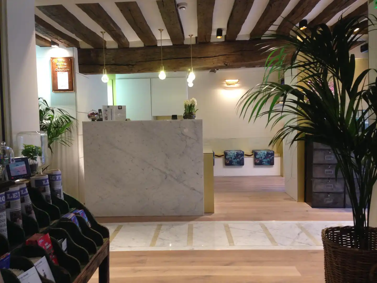 Sevres Saint Germain Lobby