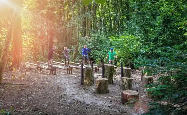 Fota Island Garten