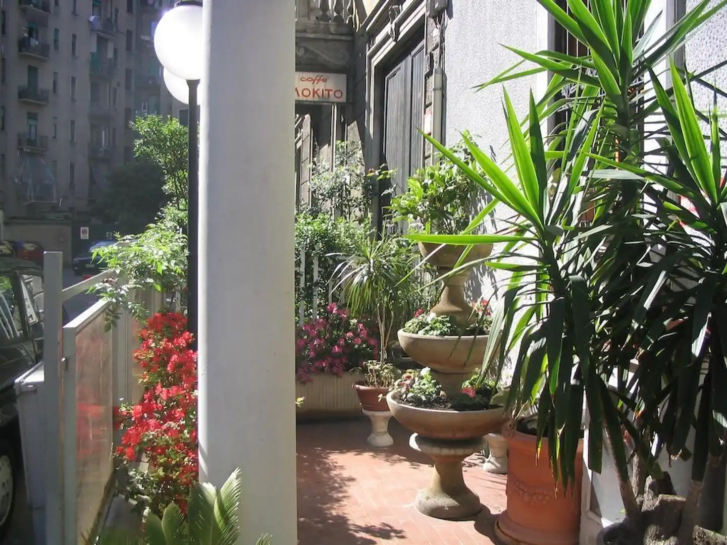 Mayorca Terrasse